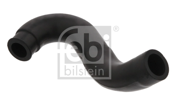 Hose, crankcase ventilation